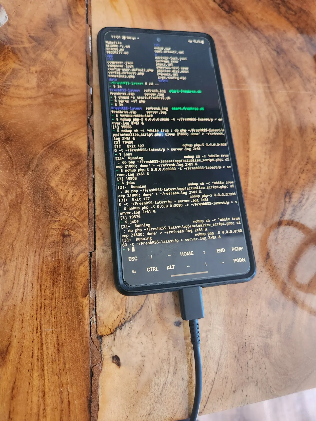 The old Android phone in question running Tailscale, Termux, and FreshRSS